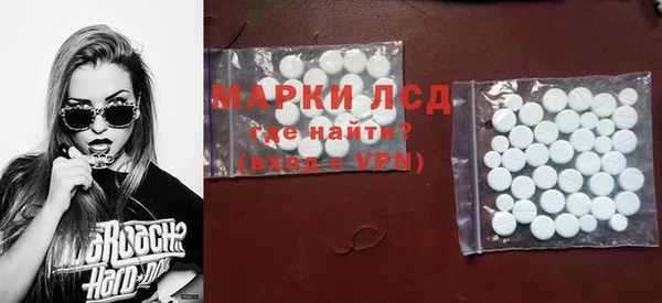 стафф Елизово