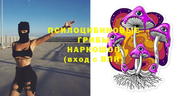 стафф Елизово