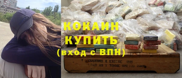 стафф Елизово