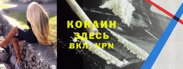 стафф Елизово