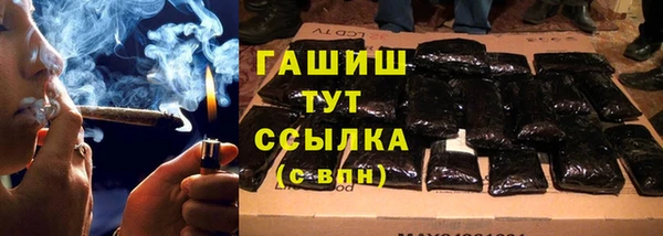 стафф Елизово
