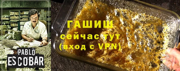 стафф Елизово