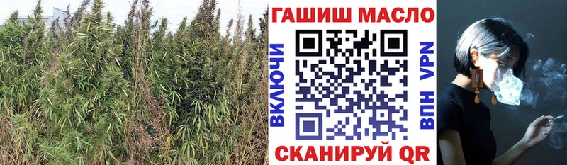 Купить закладки  Заполярный  Дистиллят ТГК Wax 